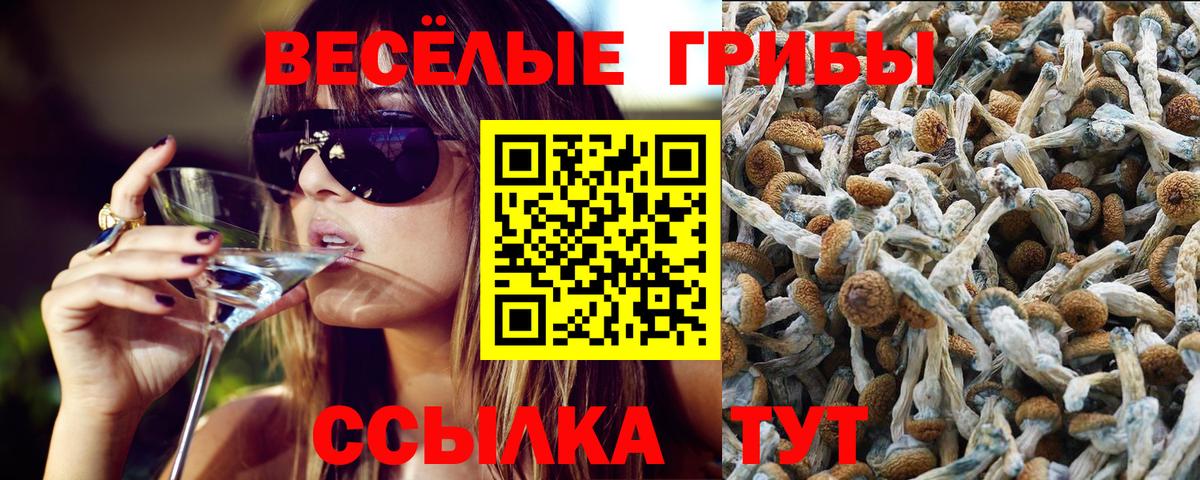 Галлюциногенные грибы GOLDEN TEACHER  Псилоцибиновые грибы ЛСД  Вход с VPN  Чита 